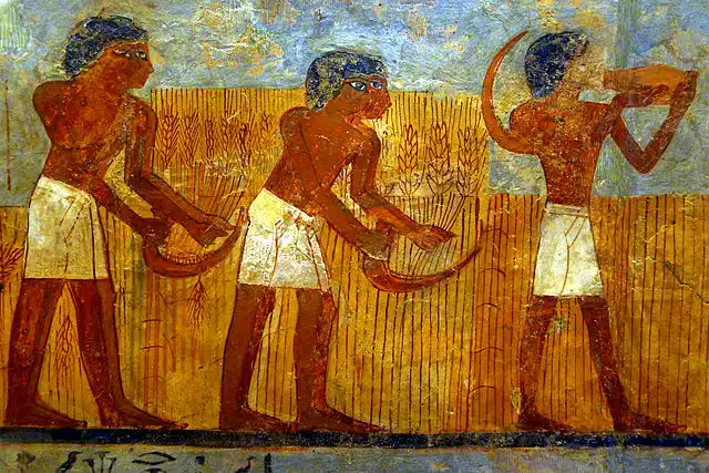 Agriculture en Afrique ancienne. Ici, en Egypte antique.