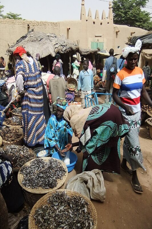 Les femmes de Djenné au marché aux poissons.
