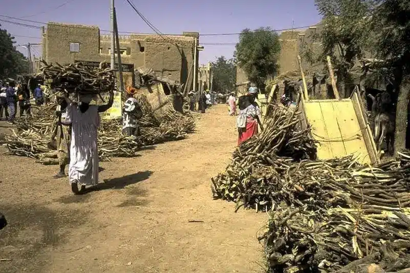 Les femmes de Djenné dans le marché au bois.