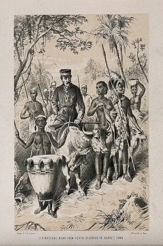 David Livingstone et les tambours en Afrique précoloniale.