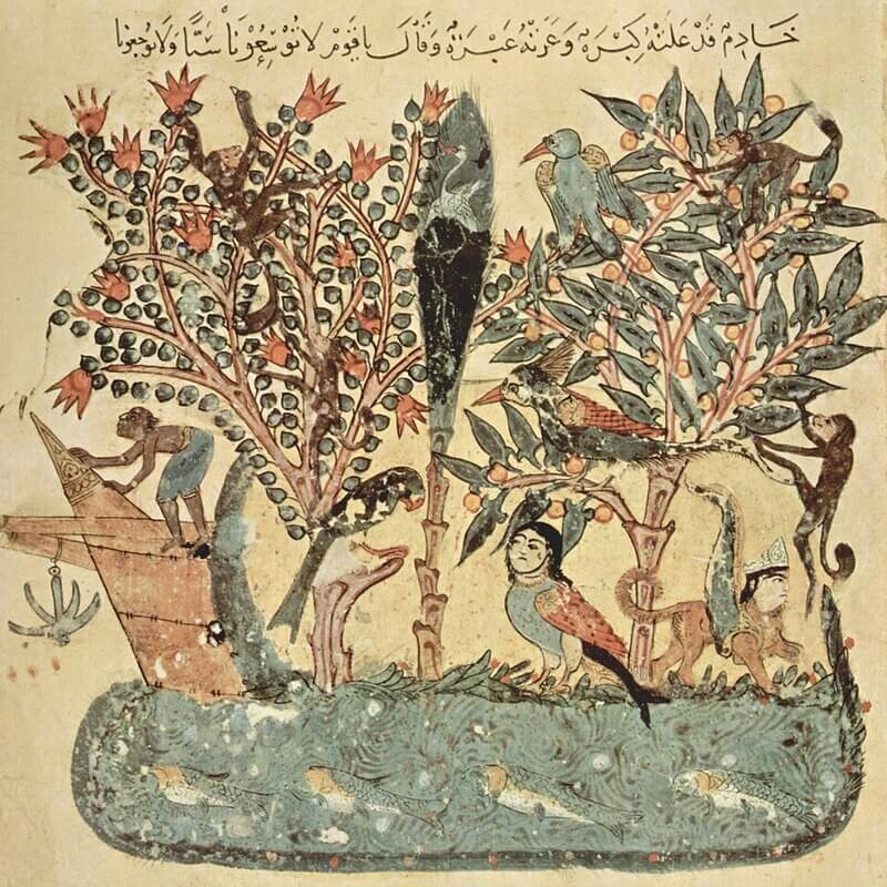 Noirs dans la Maqāma d’Oman sur l'île merveilleuse.